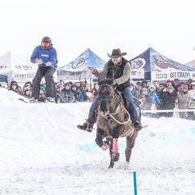 Image for skijoring