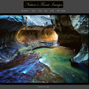 Logo for the Nature's finest images Ridgway Colorado