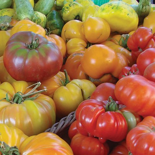 Image of various types of tomatoes.
